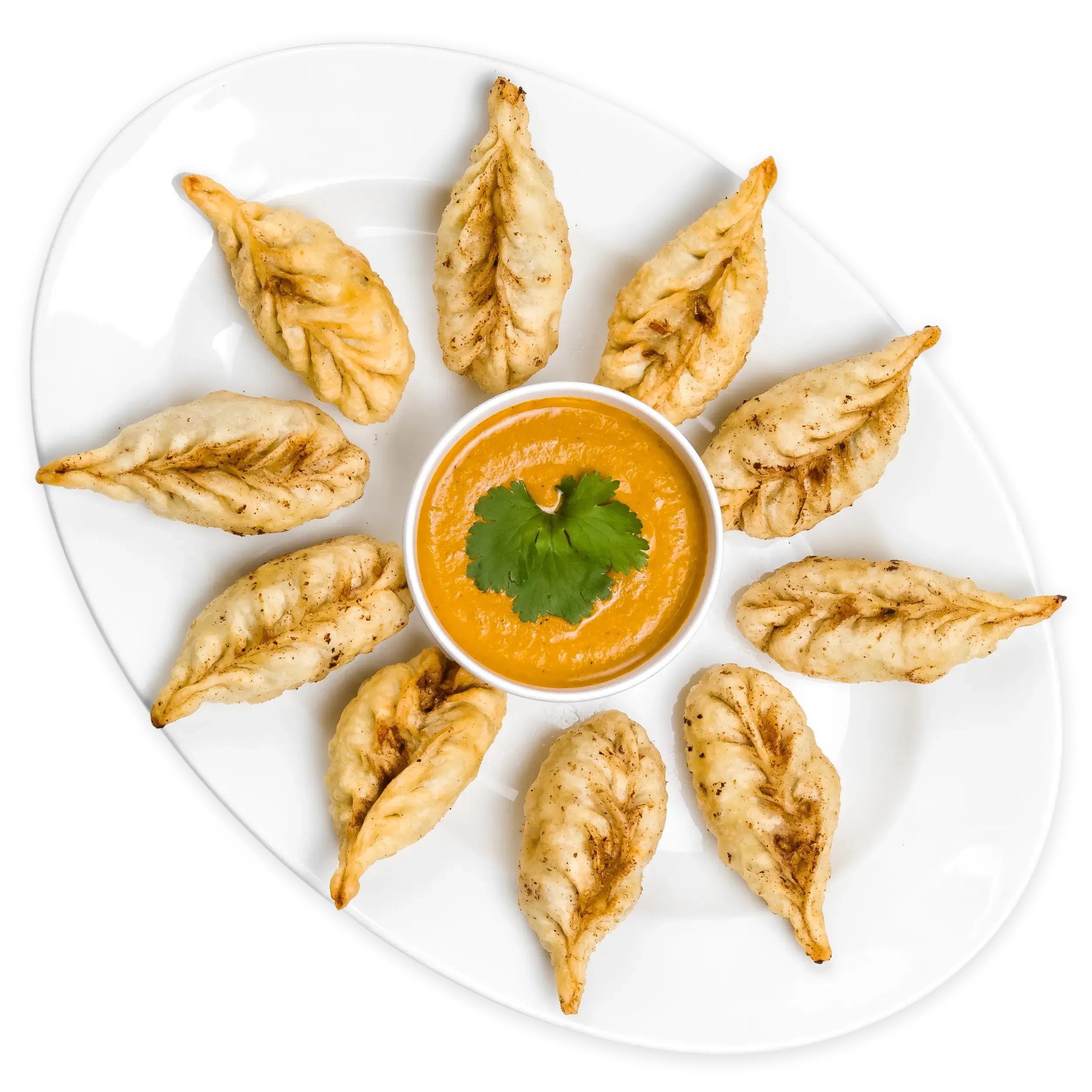 Veg Momo Fried